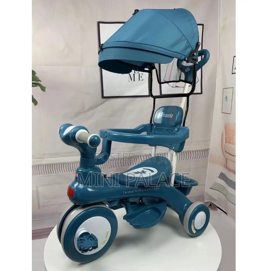 Kids Tricycles