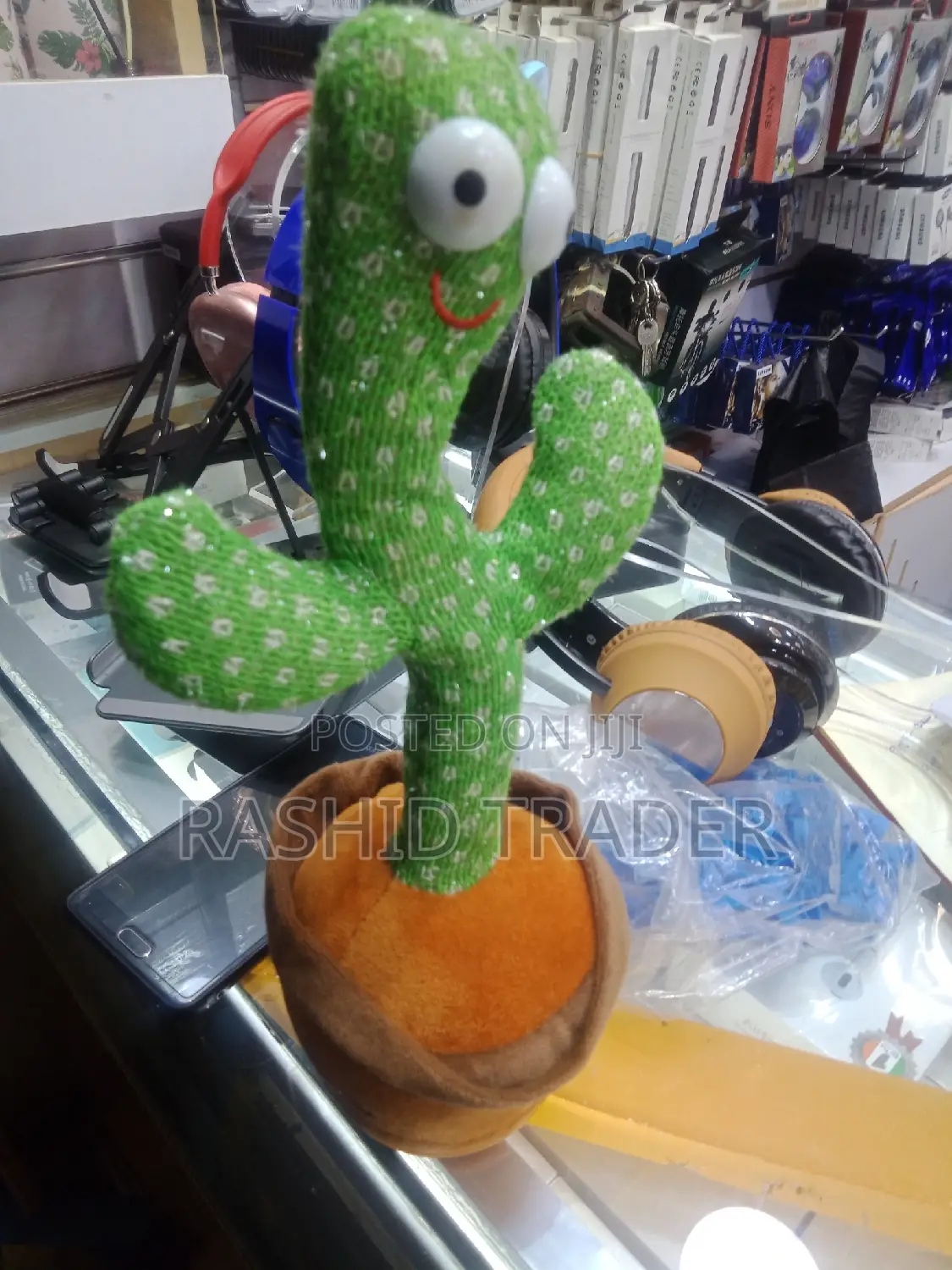 Cactus Toys for Kids