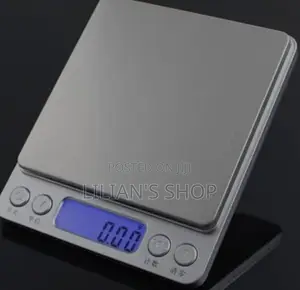 Portable Analytical Scale
