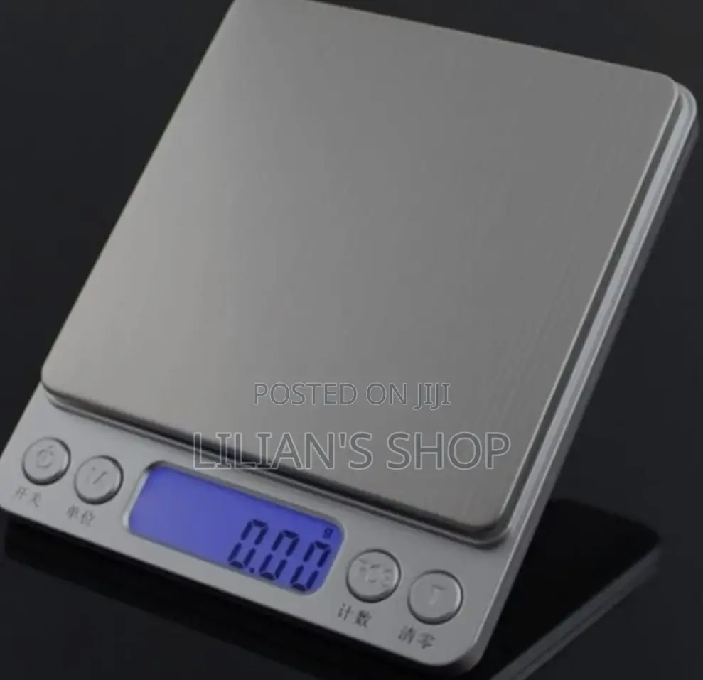 Portable Analytical Scale