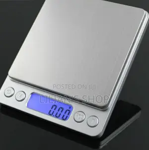 Portable Analytical Scale