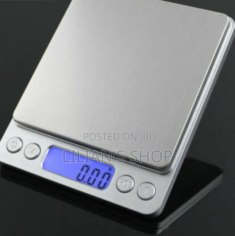 Portable Analytical Scale