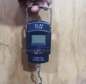 50kg Portable Hanging Weighing Scale (155)