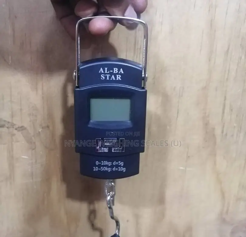 50kg Portable Hanging Weighing Scale (155)