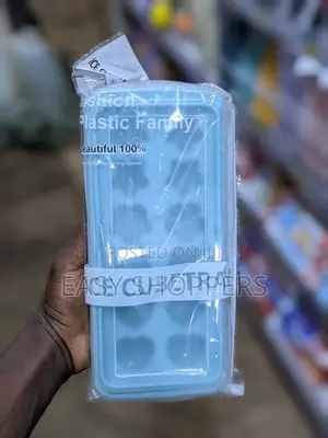 Ice Cube Tray Designs