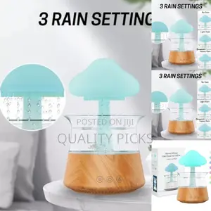 Rain Drops Humidifier