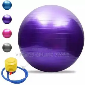 Photo - 65cm Gym/Yoga Ball With Inflator - Multicolour