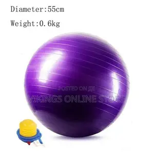 Photo - Pregnancy Ball Yoga Exercise Birth Ball Chair