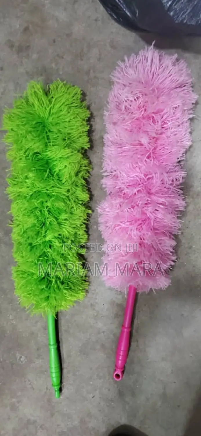 Duster / Dust Remover