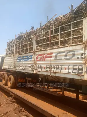 We Rent Out Trailers Which Can Carry 35ton Each Month