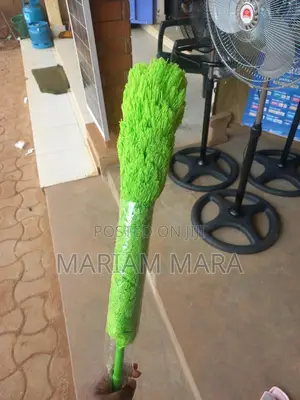 Duster / Dust Remover
