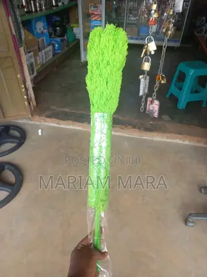Duster / Dust Remover