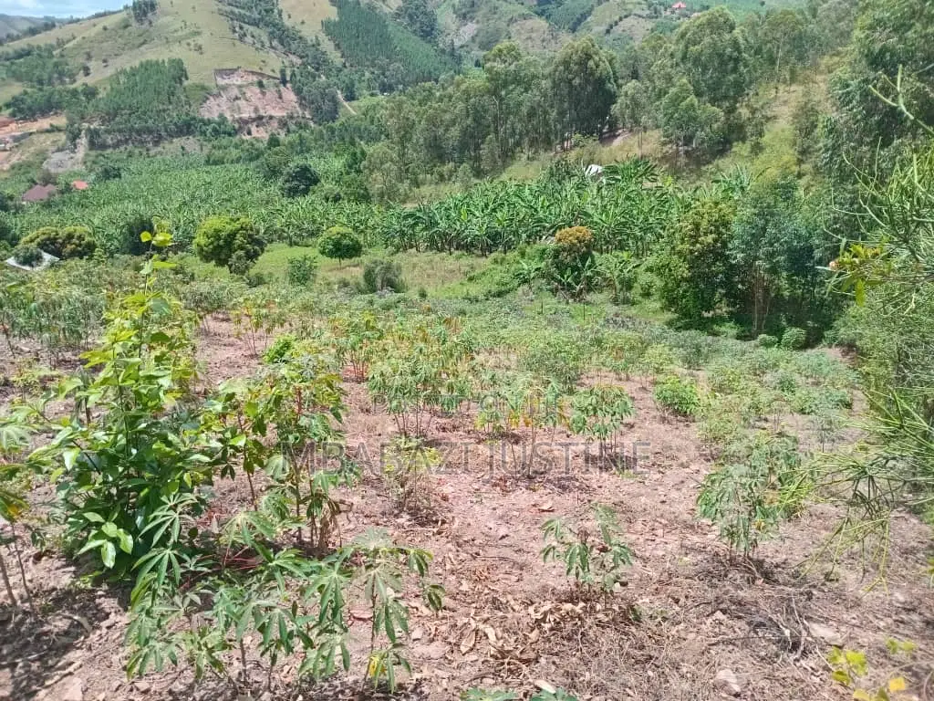 Located in Koranorya Mbarara