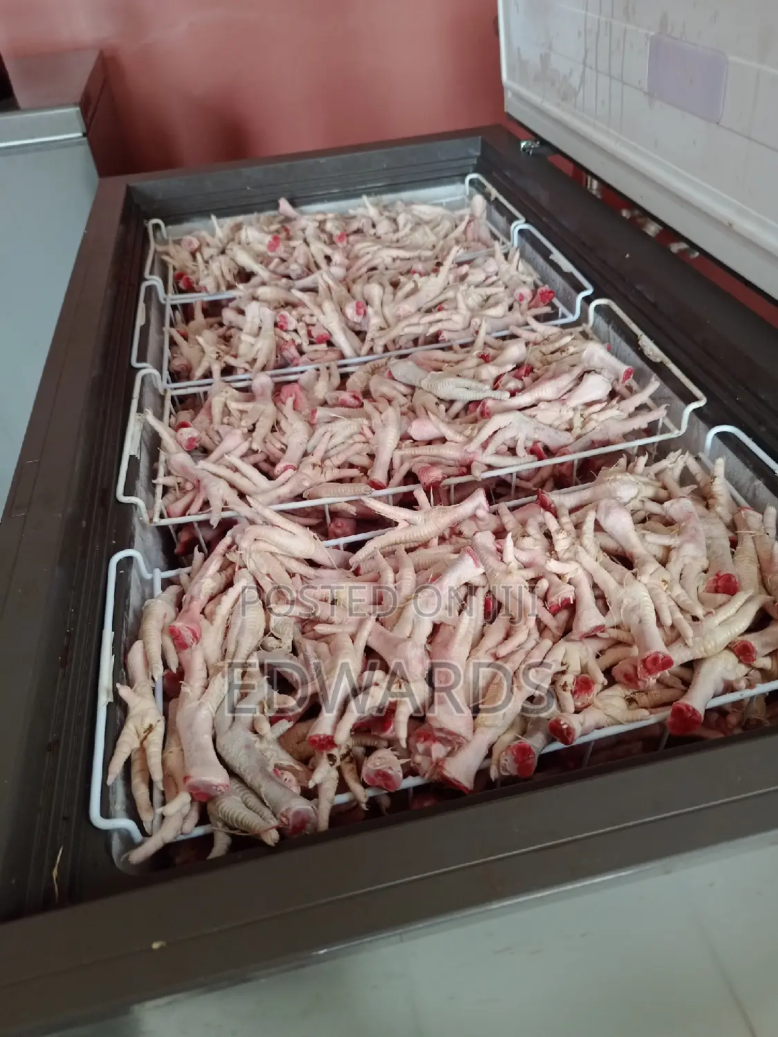 Dog Chicken Foods