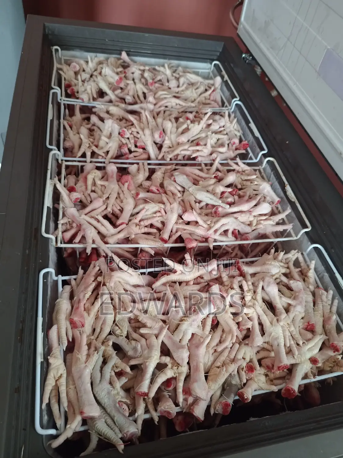 Dog Chicken Foods