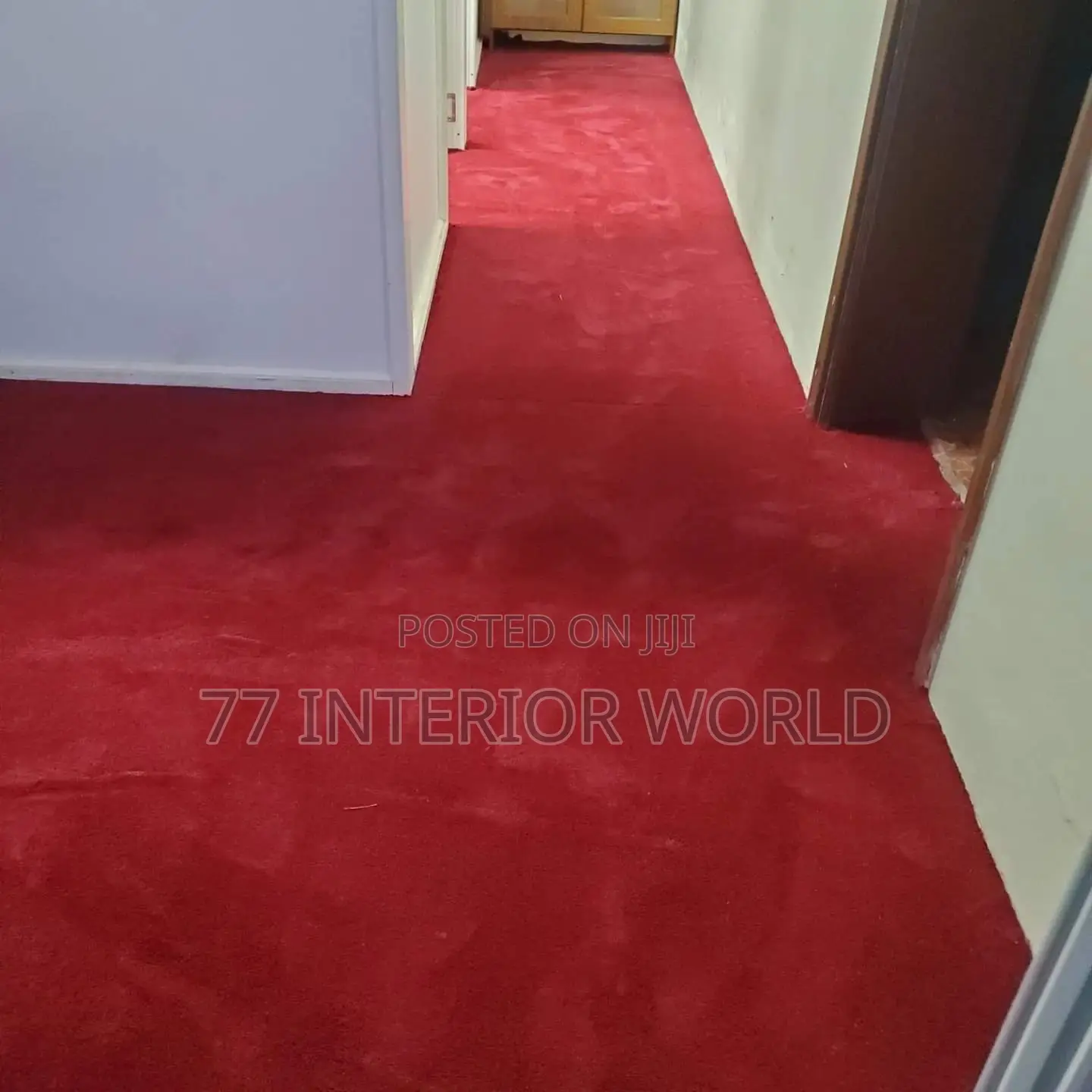 Office Woolen Carpets