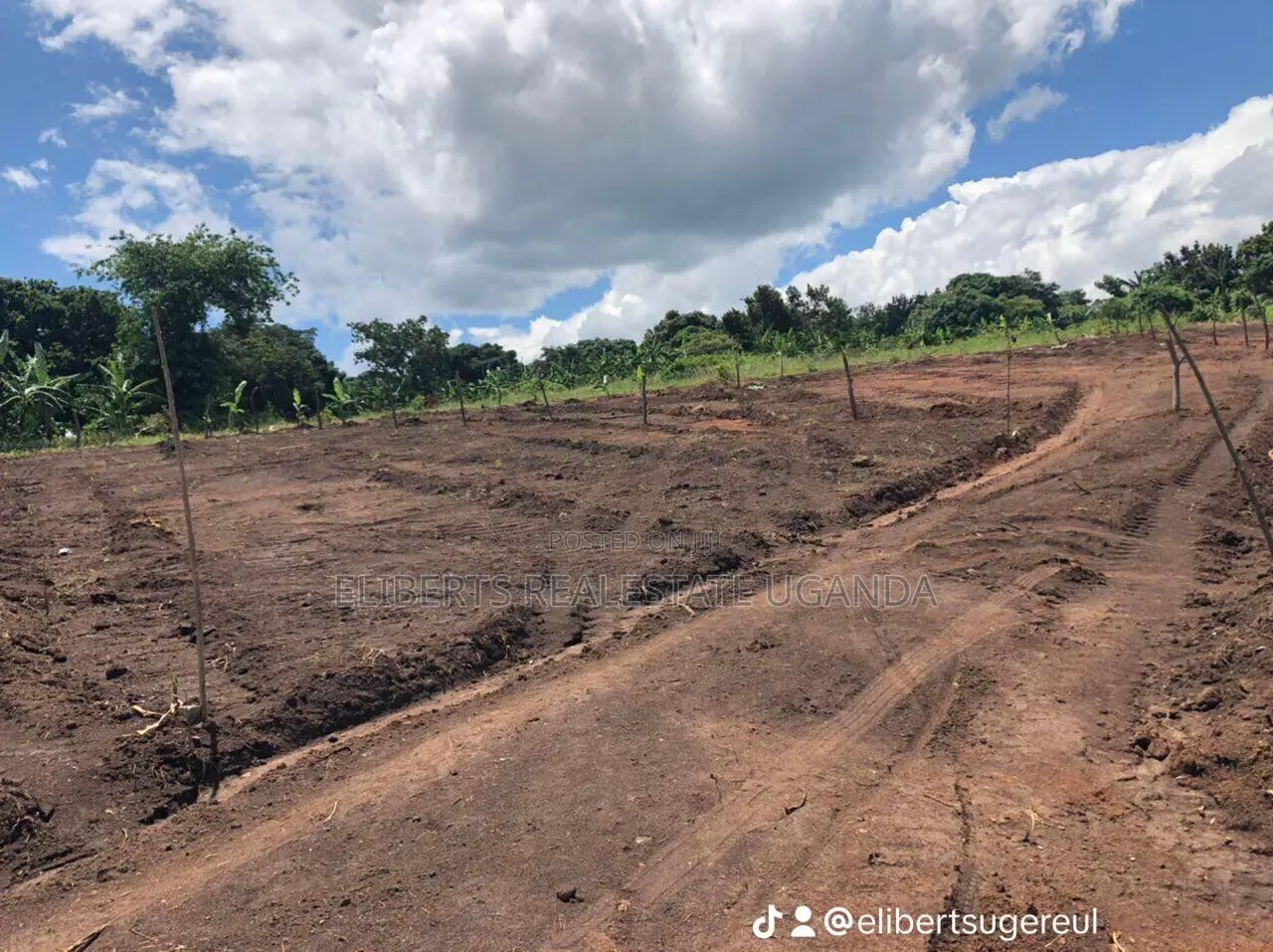 Wobulenzi Sempa Titled Plots for Sale 6.5m in Wobulenzi TC Land