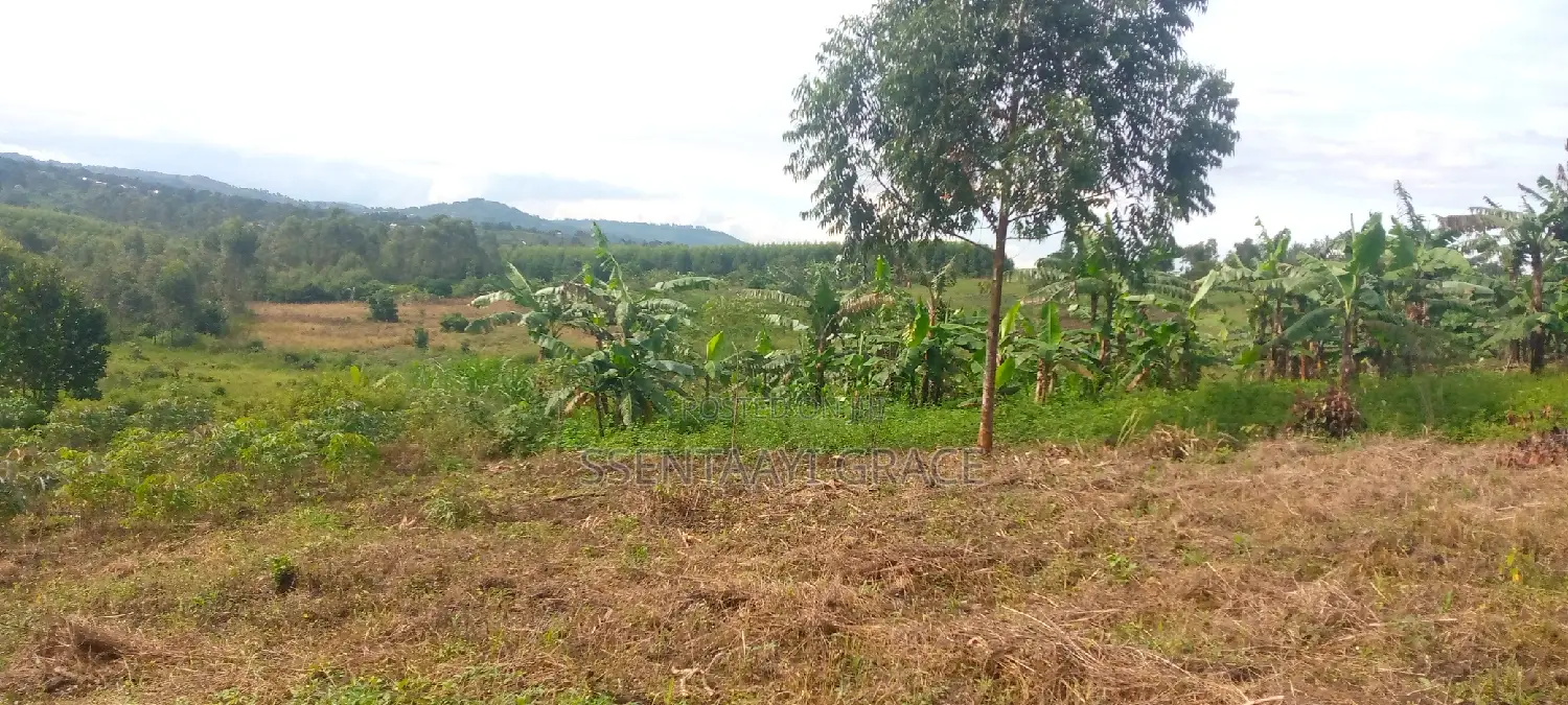 5acre Tittle Land at Kibibi 23million Each Acre