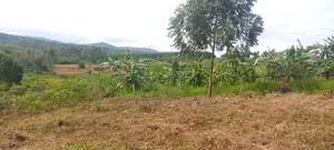 5acre Tittle Land at Kibibi 23million Each Acre