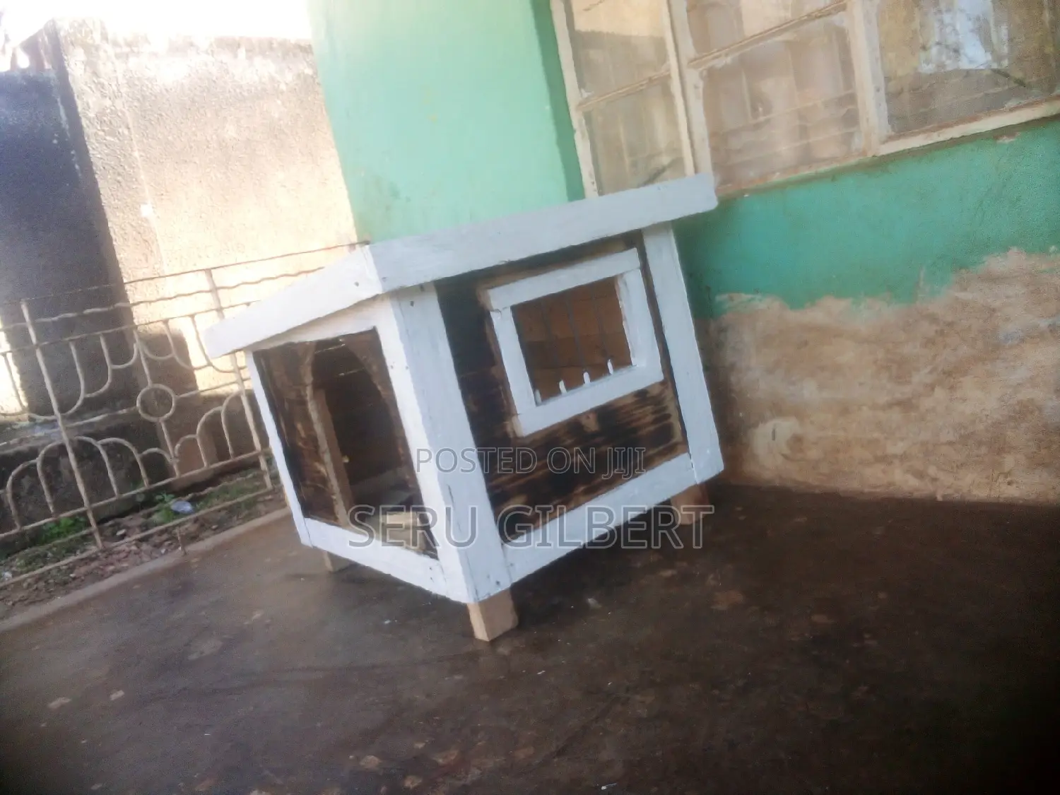 Mg Maltese Puppy House