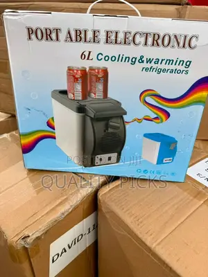 Mini Portable Car Fridge