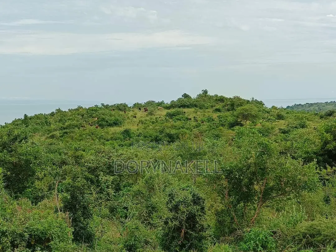 5 Square Miles in Hoima District on Sale