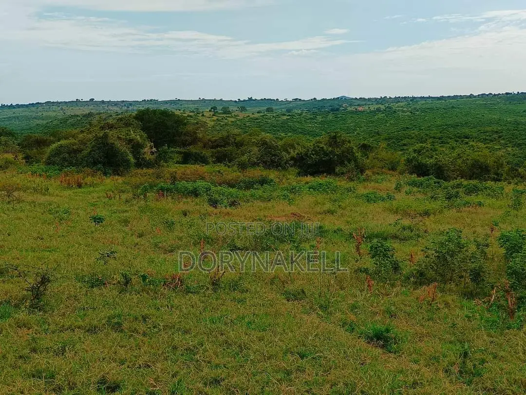 5 Square Miles in Hoima District on Sale