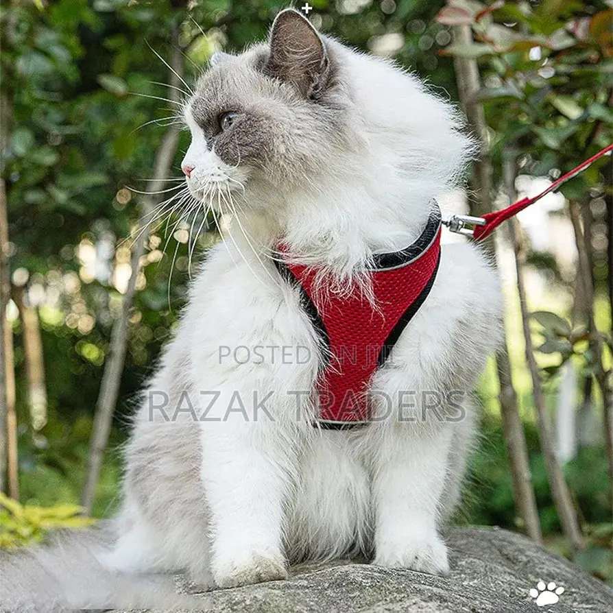 Pet Vest for Cat Puppy Harnesses Adjustable Chest Strap