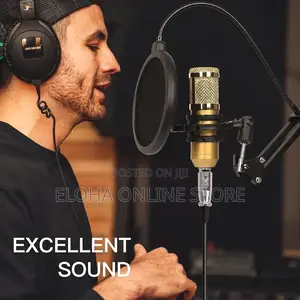 Professional Studio Condenser Microphone Set
