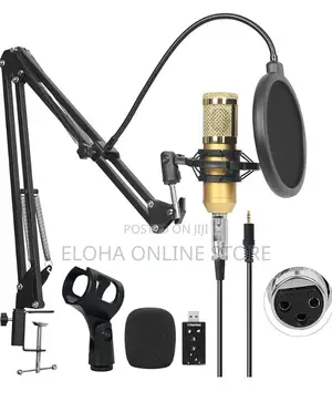 Professional Studio Condenser Microphone Set