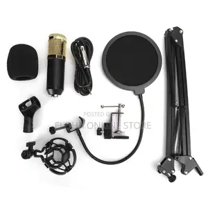 Professional Studio Condenser Microphone Set