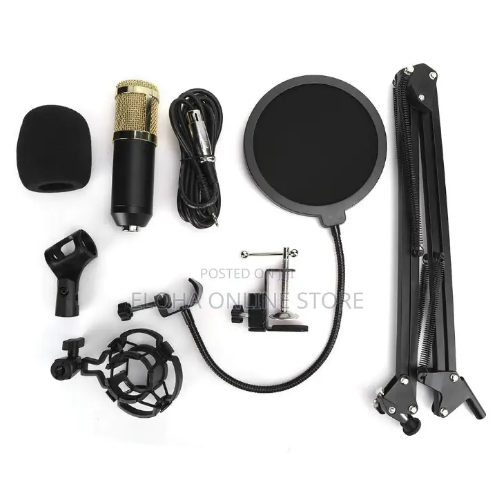 Professional Studio Condenser Microphone Set