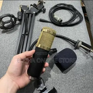 Professional Studio Condenser Microphone Set