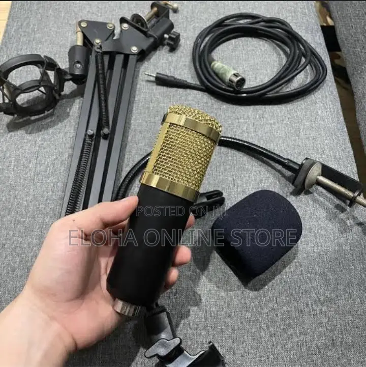 Professional Studio Condenser Microphone Set
