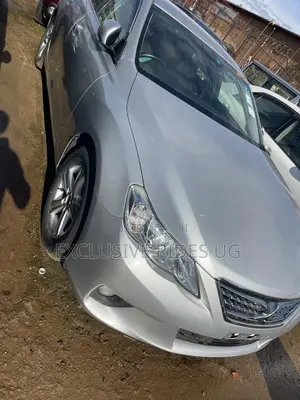 Toyota Mark X 2010 Silver