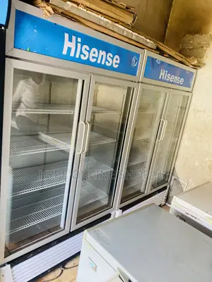 Display 800L Hisense Fridge