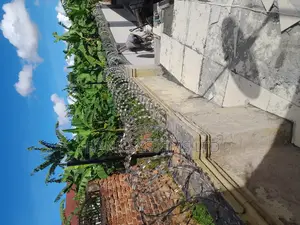 Electric Fence With Razor Wire, New