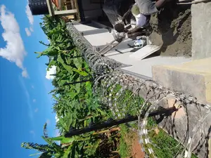 Electric Fence With Razor Wire, New