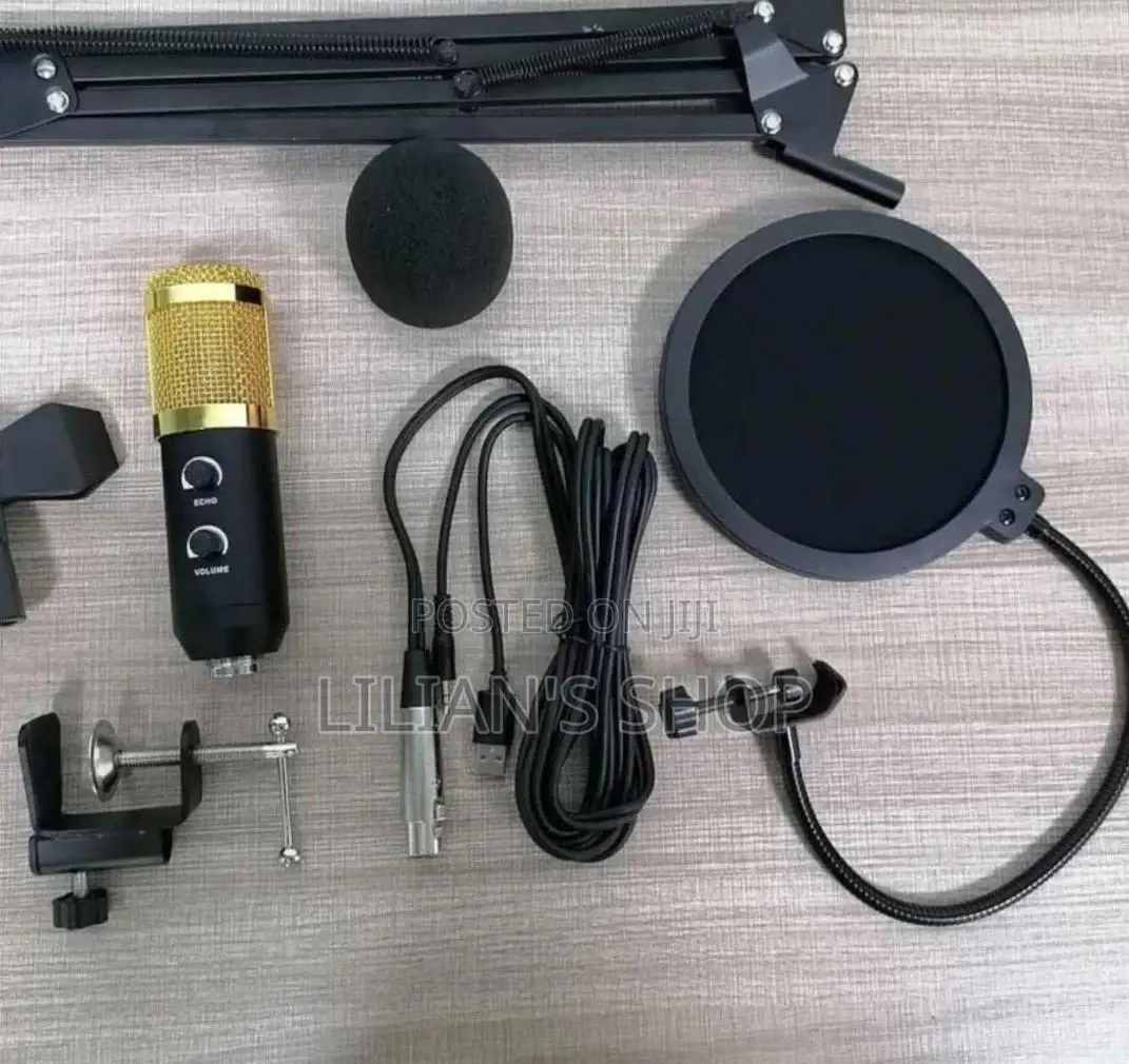 Excellent Professional Condenser Microphone
