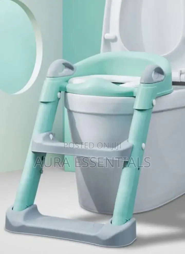 Classic Potty Training Toilet Ladder Seat