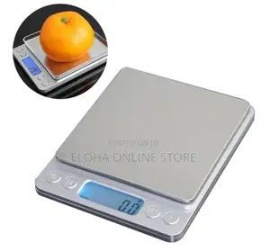 Portable Analytical Scale