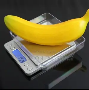 Portable Analytical Scale