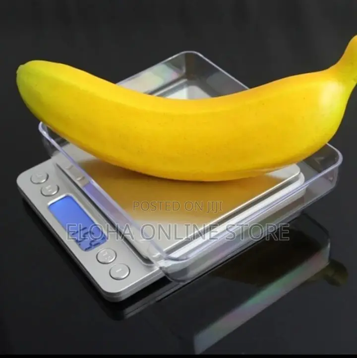 Portable Analytical Scale