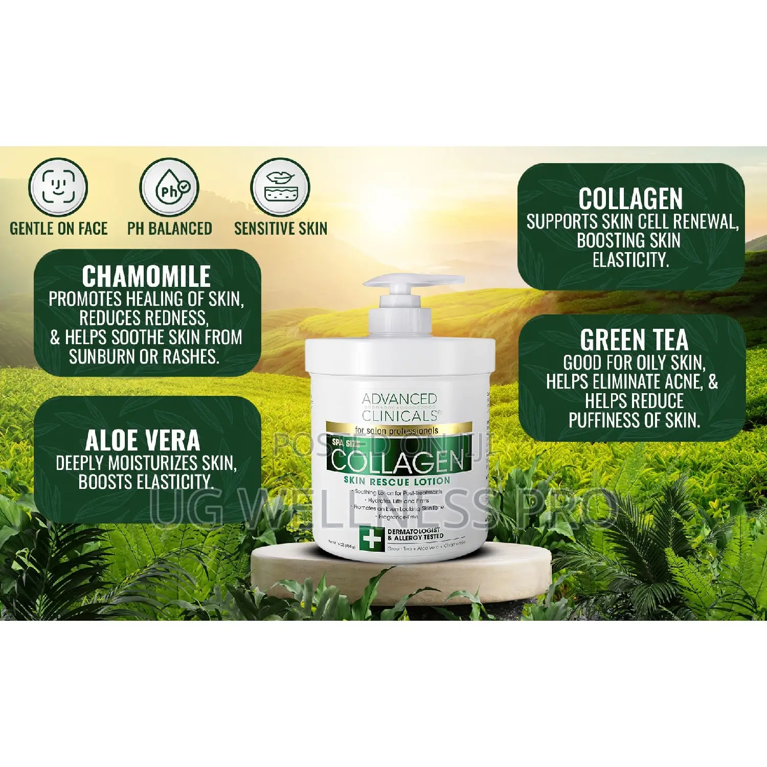 Collagen, Skin Rescue Lotion, Fragrance Free, 16 Oz (454 G)