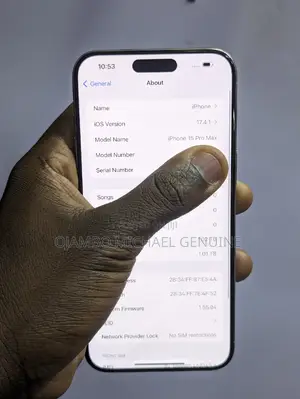 Apple iPhone 15 Pro Max 1 TB Gray