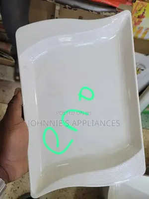 S Dinner Melamine Plates 12pics DZN