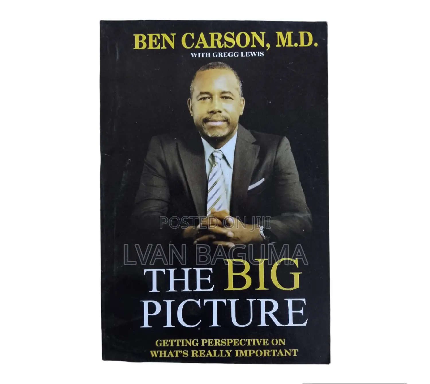 The Big Picture Book - Ben Carson