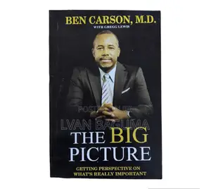 The Big Picture Book - Ben Carson