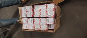 Engine Oil Filters
