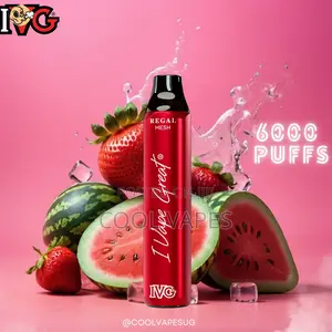 IVG 6000 Puffs 2% Nicotine Shisha Vape (Rechargable)